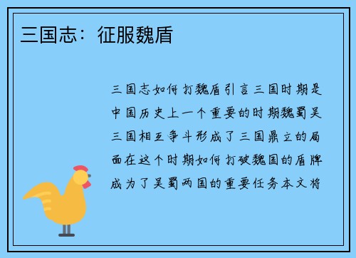 三国志：征服魏盾